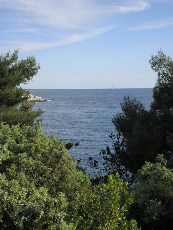 Apartment Anethum Premantura Bagian luar foto